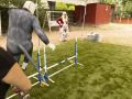 Ann_Pony-Play-20240504-159